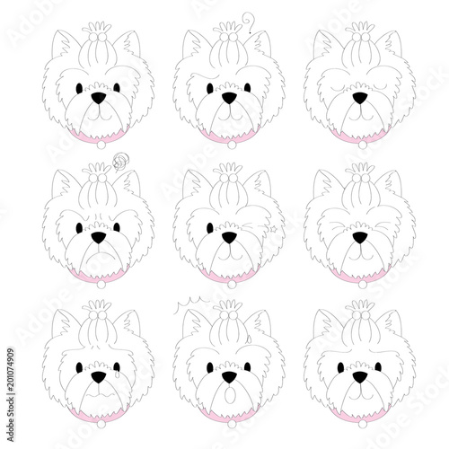 Fashions cartoon cute Yorkshire Terrier dog vector.