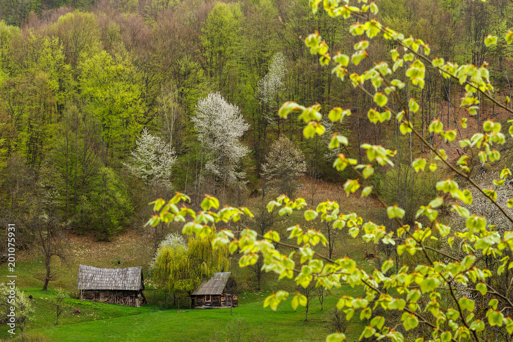 Naklejka premium Shepherd's house with a barn at the edge of the forest