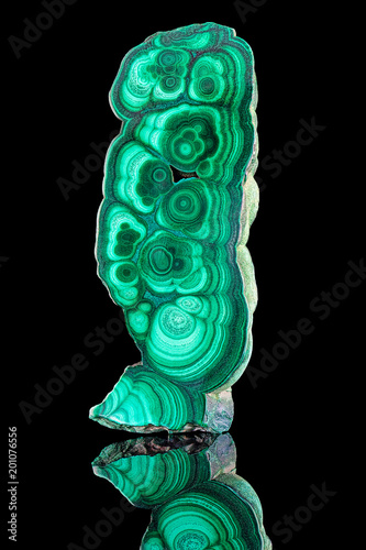 Amazing polished natural slab of green malachite mineral gemstone specimen gemstone macro isolated on black background. Closeup photo texture of green stone specimen