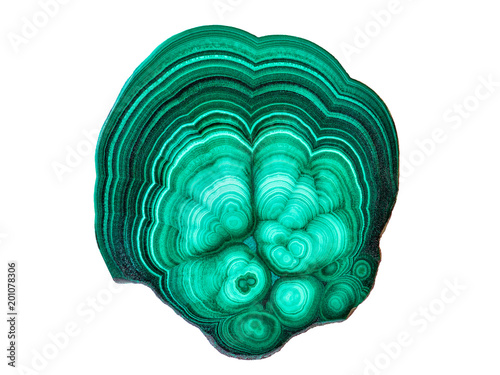 Фотография Amazing polished natural slab of green malachite mineral gemstone specimen gemstone macro isolated on white background