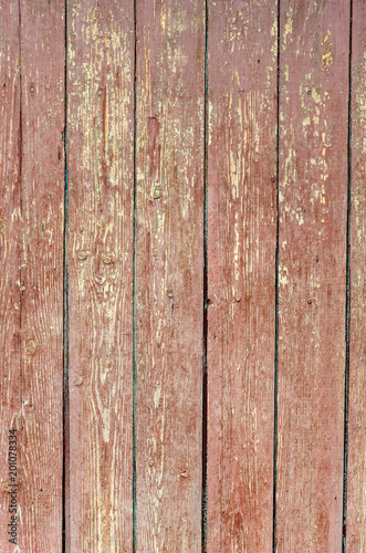 Texture of old wood