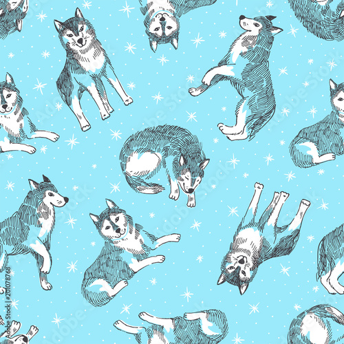 Seamless pattern with cute husky with snowflakes. Vector animal background. Design for chinese new year 2018 of dog.