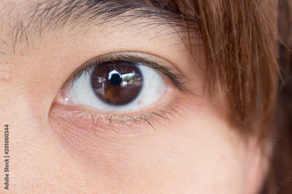 Close up of young Asian women eyes Close up of young Asian women eyes