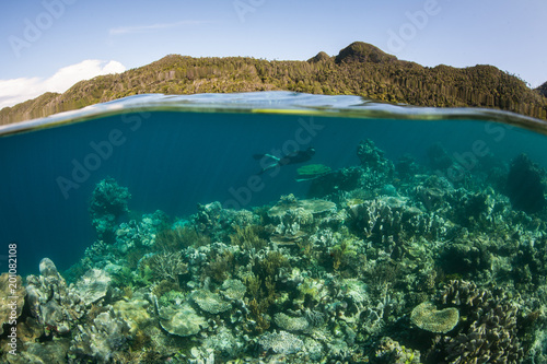 Beautiful Reef and Snorkeler in Raja Ampat