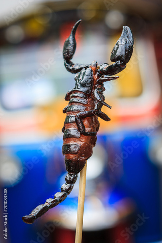 Scorpion skewer at a street food stall in Khao San Road, Bangkok, Thailand