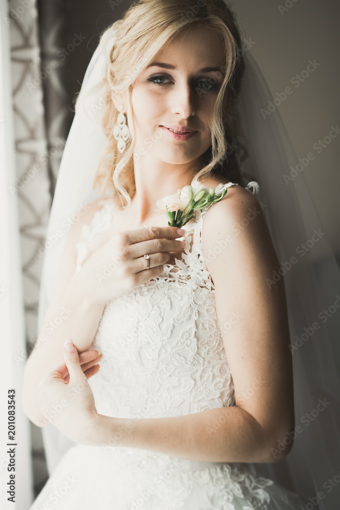 Luxury bride in white dress posing while preparing for the wedding ceremony Luxury bride in white dress posing while preparing for the wedding ceremony