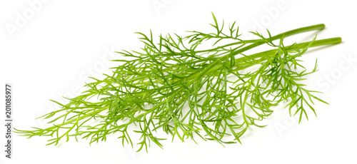 closeup of fresh dill weed isolated on white