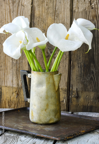 Fototapeta Naklejka Na Ścianę i Meble -  Bouquet of white calla lily flowers