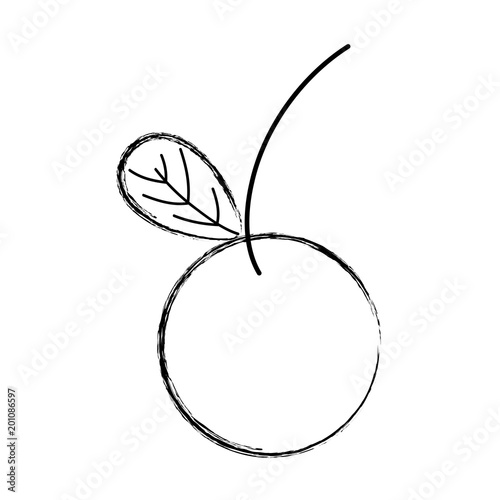 grunge organic delicious apple fruit with leaf