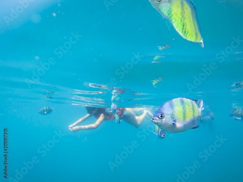 Tourist snorkeling with sergeant fish in the blue thai sea near Ko Ngai, Ko Lanta, Thailand
