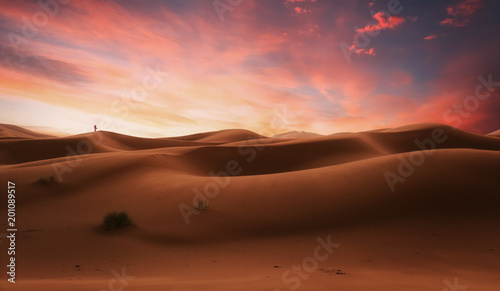 Paseo al atardecer en el desierto
