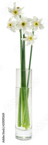Fototapeta Naklejka Na Ścianę i Meble -  isolated image of flowers in a vase