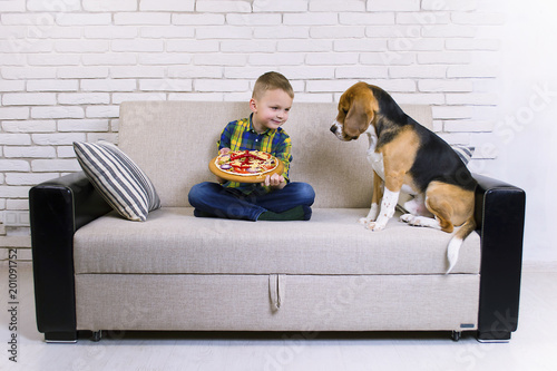 cute boy and funny beagle dog eating pizza