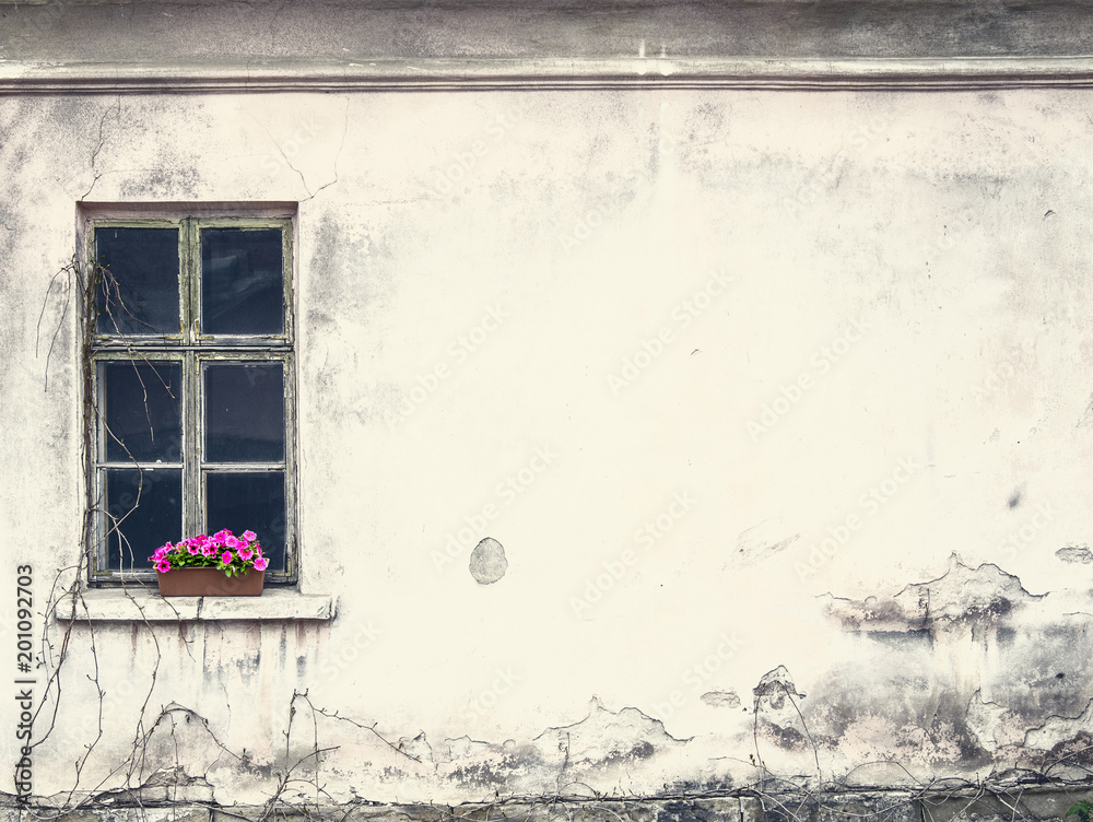 old window in an abandoned house with flowers on the windowsill