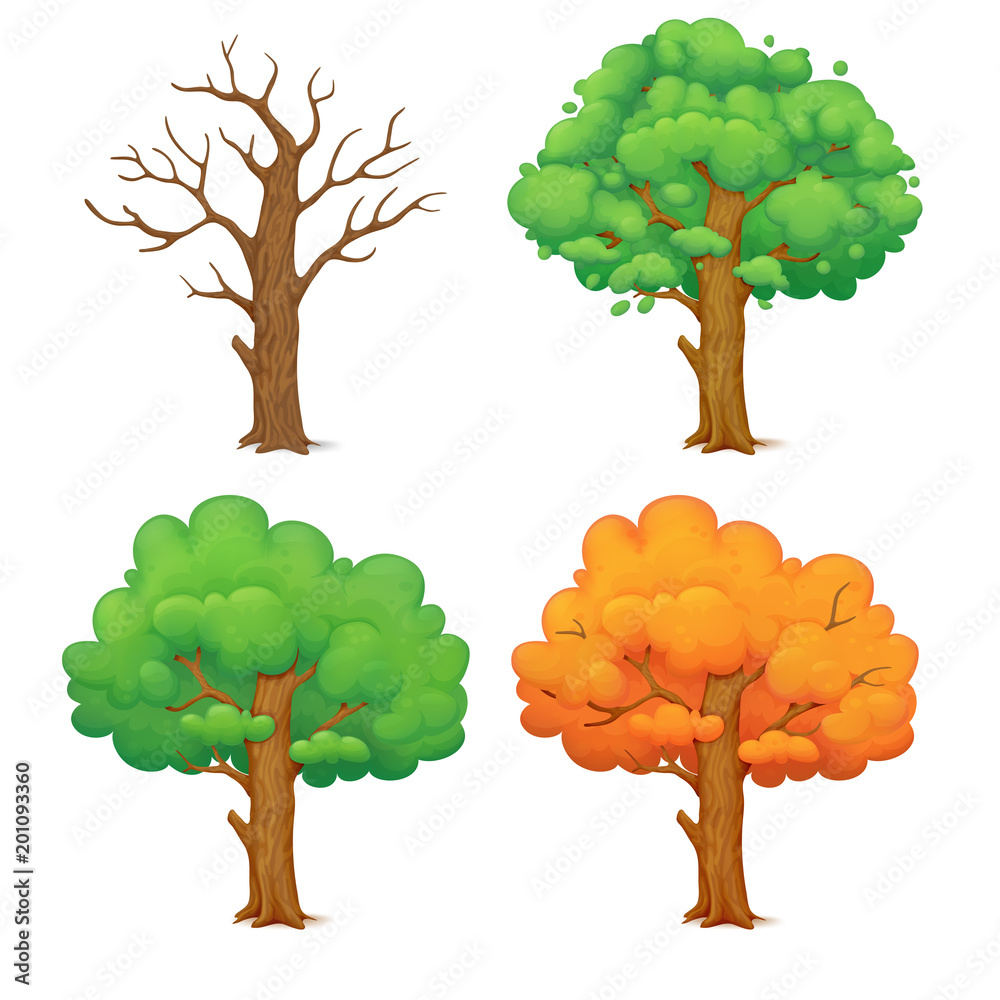 Cartoon tree in four seasons. Leafless winter tree, spring tree with sparse  green foliage, lush green summer tree and orange autumn tree. Stock Vector  | Adobe Stock