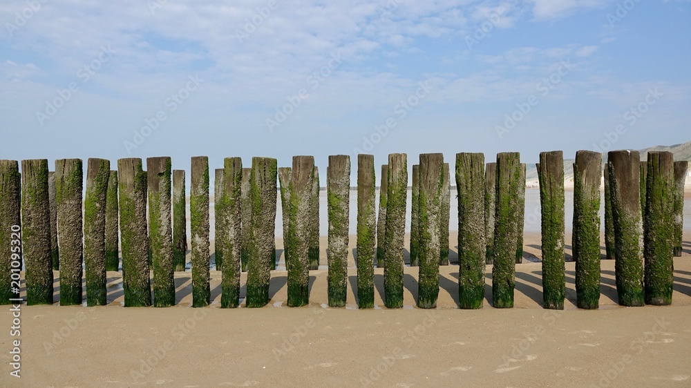 Fototapeta premium Wellenbrecher am Nordseestrand, verwitterte Holzstämme