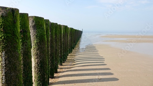 Wellenbrecher am Nordseestrand  verwitterte Holzst  mme