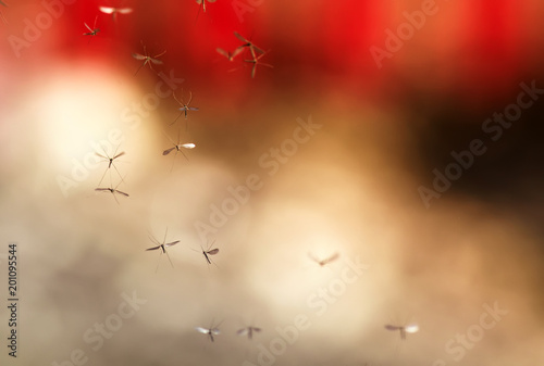 a flock of buzzing harmful insect mosquitoes flying in the air against the ba...