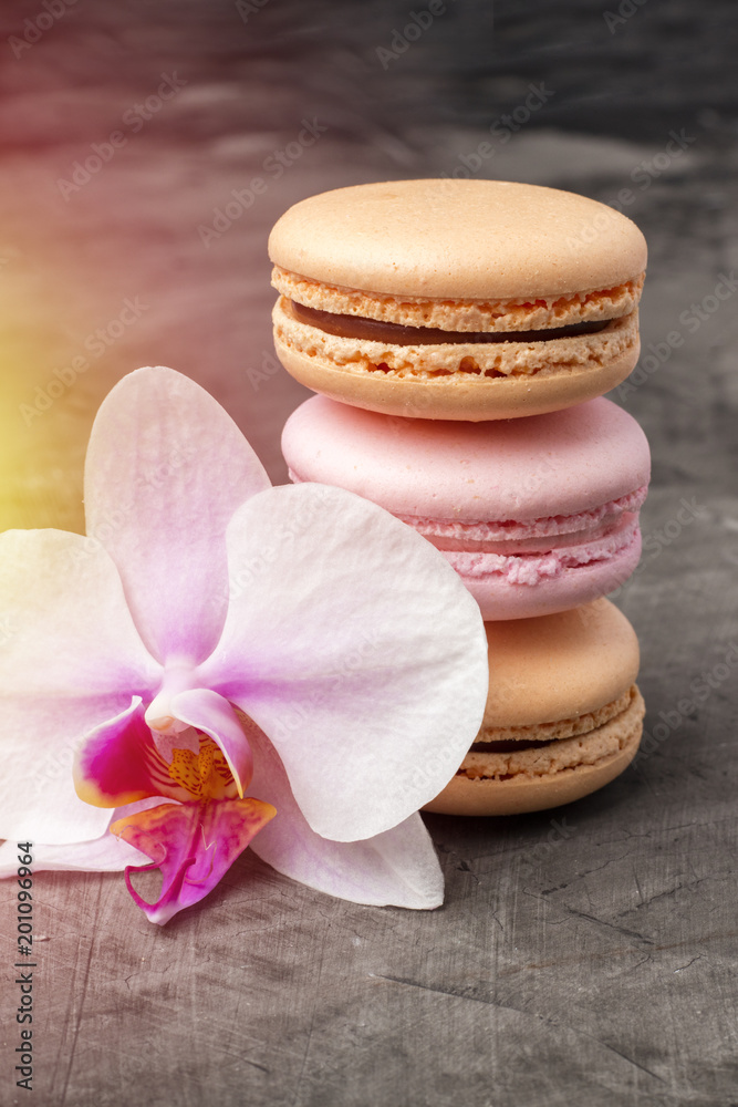 Delicious, colorful cookies macarons. Orchid flower as decoration. Dark background