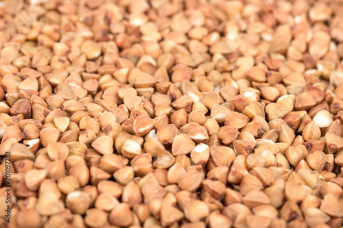 Raw grains of buckwheat