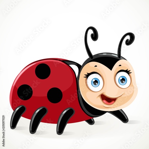Cute toy ladybug on a white background