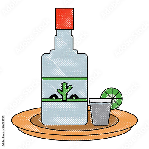 tequila bottle and shot icon over white background, colorful design. vector illustration