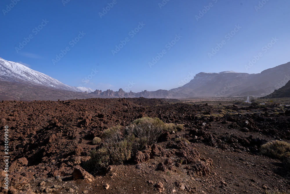The beautiful view to volcanic lava and sandstone with grass on the Teide Volcano