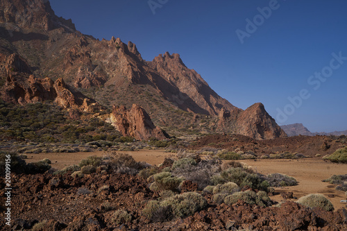 The beautiful view to volcanic lava and sandstone with grass on the Teide Volcano