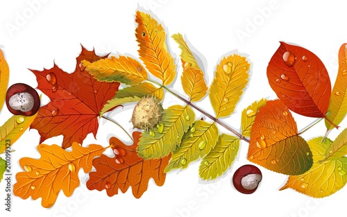 Seamless curb of red and yellow autumn leaves  and chestnut isolated on white background