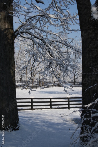 Fototapeta Naklejka Na Ścianę i Meble -  Winter Fence Line