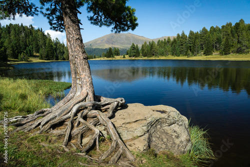 Wandern in den Nockbergen um Bad Kleinkirchheim und Turracher  Höhe 