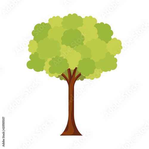 leafy tree foliage branch trunk image vector illustration