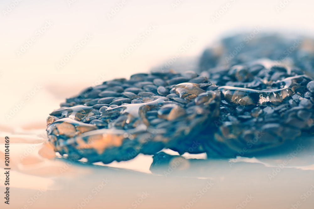 Fototapeta premium Honey on a flax crisps still life