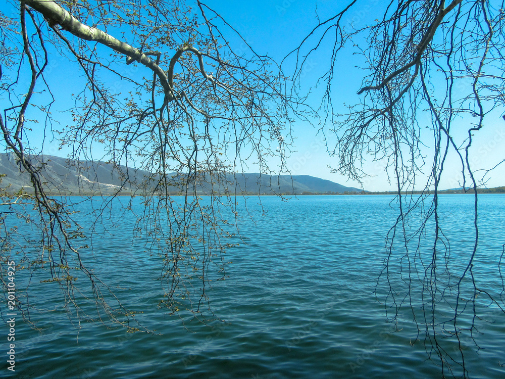 Landscape with reflected branches against the background of the mountain. Kastoria, Greece.