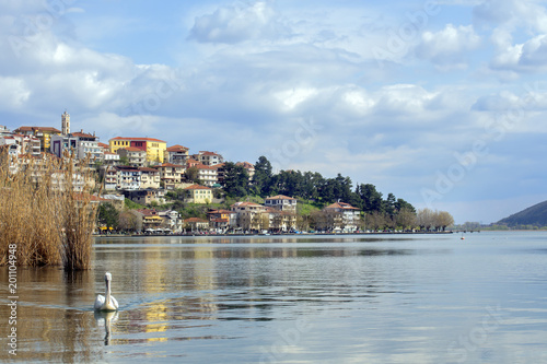 Landscape of the city of Kastoria from Lake Orestiada, Greece. With a pelican.