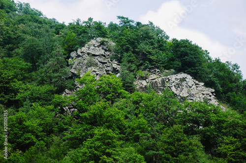 Forest landscape, Armenia