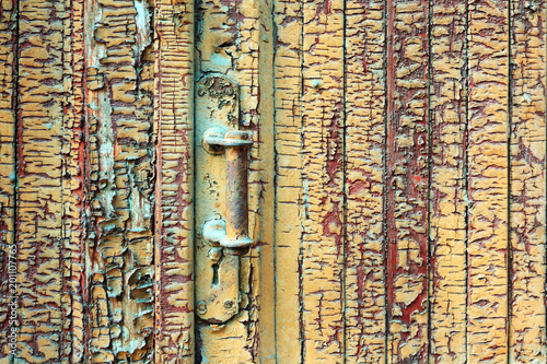 Texture of an old wooden painted planks of the door with metal handle for design and arts.