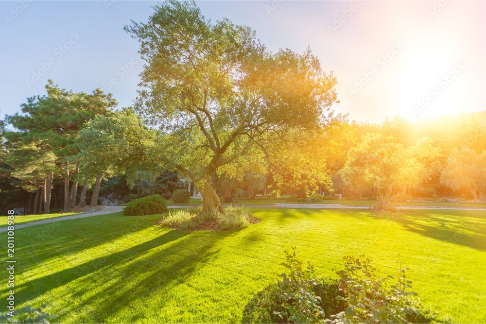 Fototapeta premium Landscape.