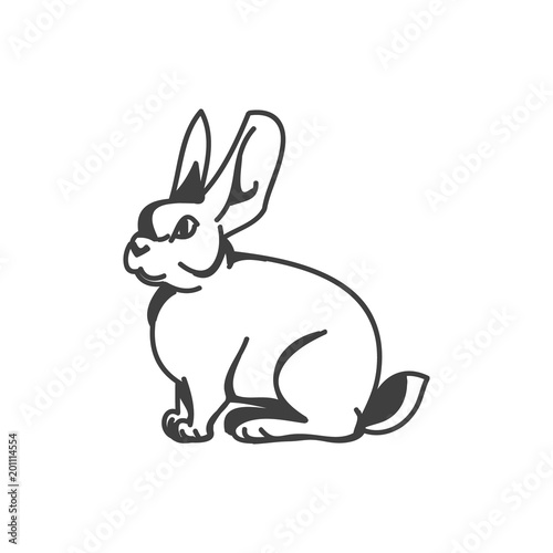 rabbit abstract on white background