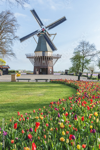 Windmill and tulips at Keukenhof Gardens. Lisse, South Holland province, Netherlands