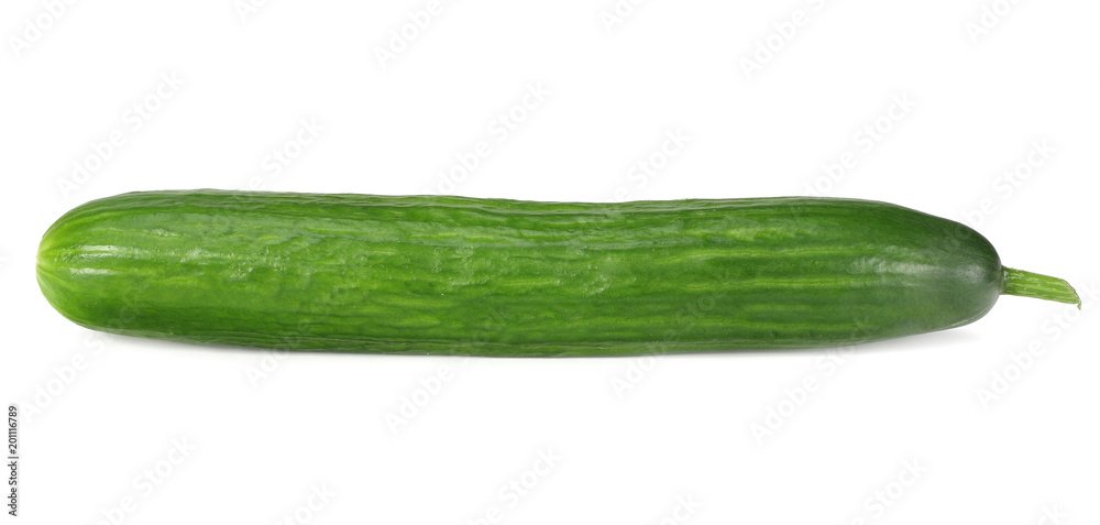 one fresh cucumbers isolated on white background one fresh cucumbers isolated on white background