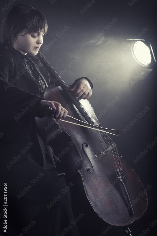 Fototapeta premium Musician