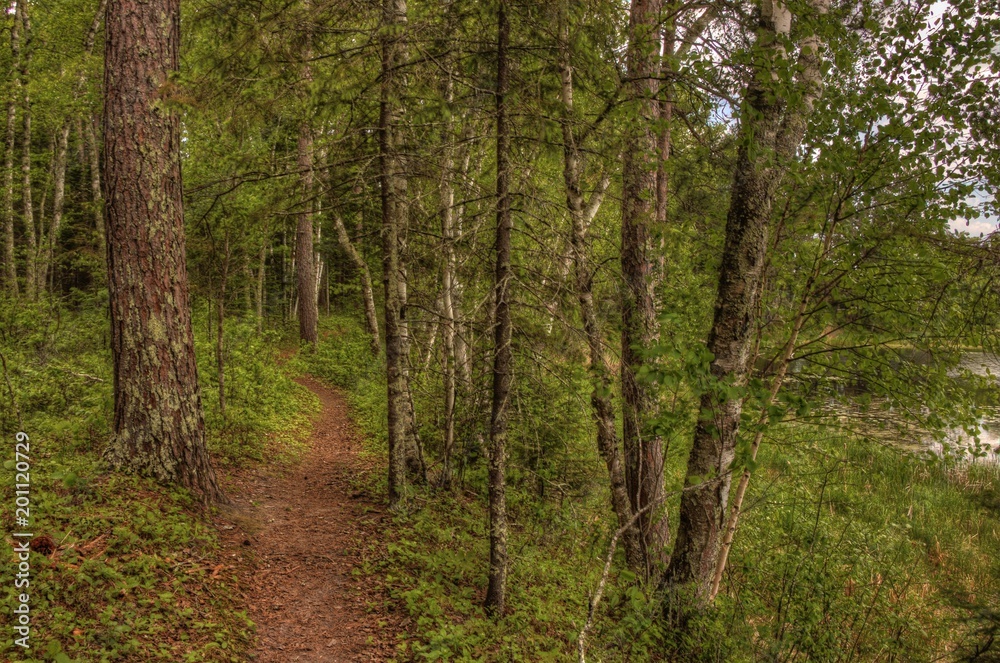 Summer in Schoolcraft State Park located in Northern Minnesota