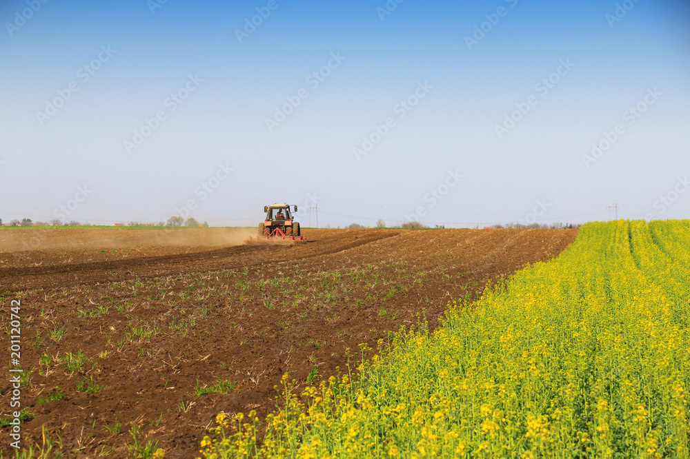 Tractor fertilize field before seeding Tractor fertilize field before seeding