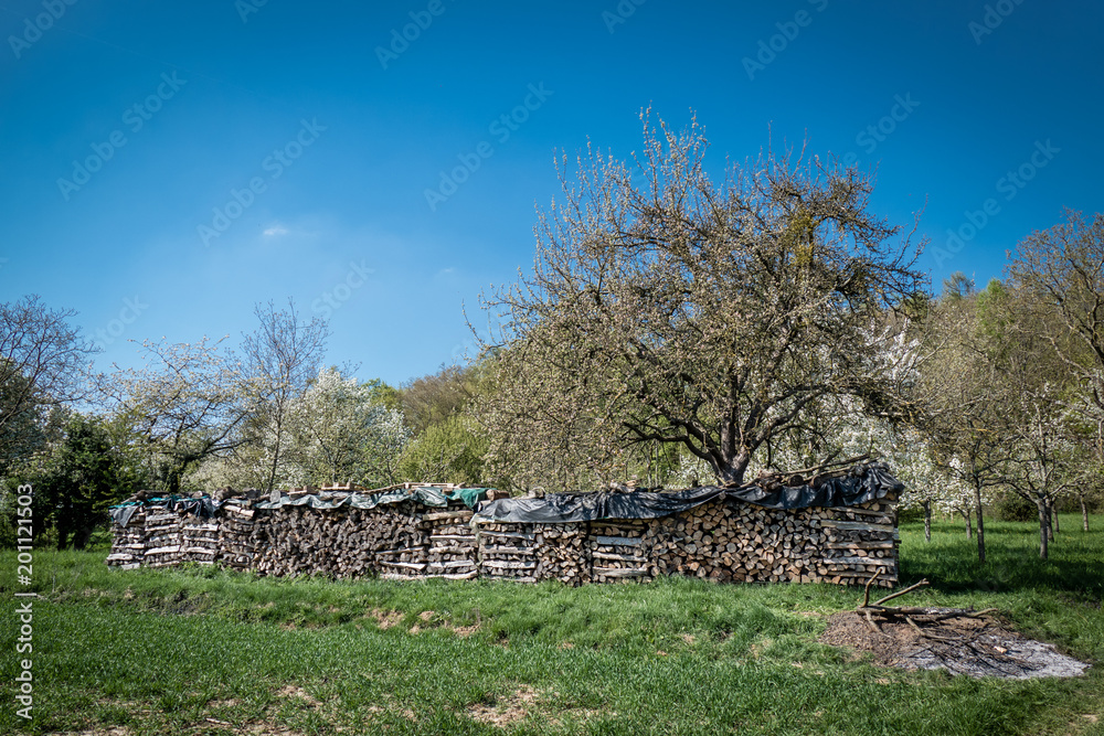 Fototapeta premium Brennholzlager im Frühjahr