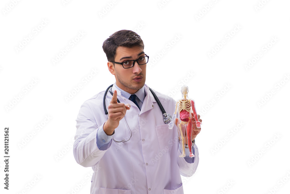 Yong male doctor with skeleton isolated on white Yong male doctor with skeleton isolated on white