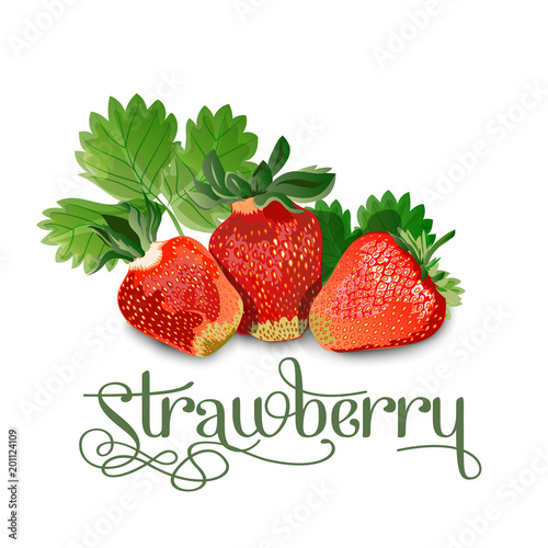 Strawberry leaves and berries isolated on white background.