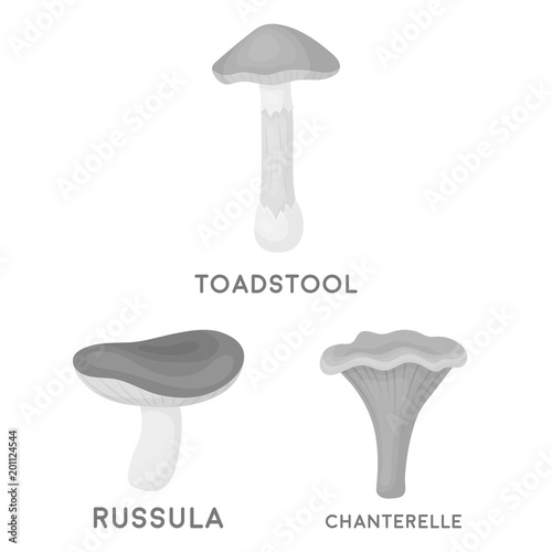 Poisonous and edible mushroom monochrome icons in set collection for design. Different types of mushrooms vector symbol stock web illustration.