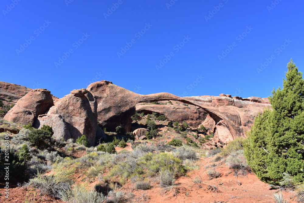 Fototapeta premium Geologic Wonders of Arches National Park - Utah