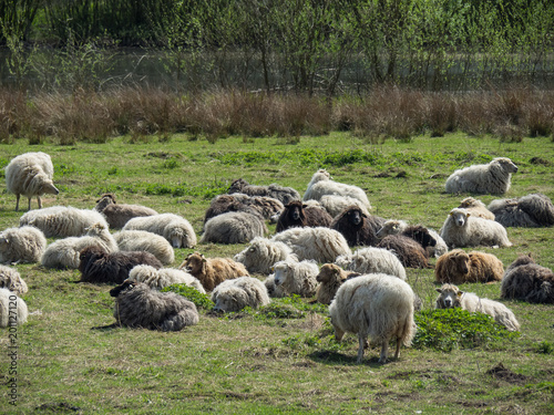 Die Gemeinde Eibergen in den Niederlande photo